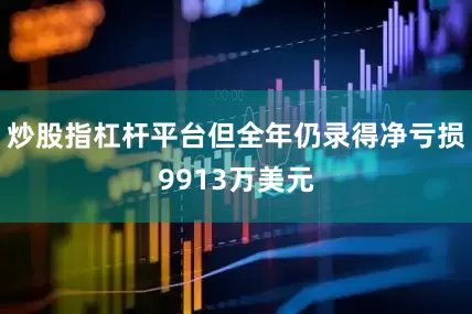 炒股指杠杆平台但全年仍录得净亏损9913万美元