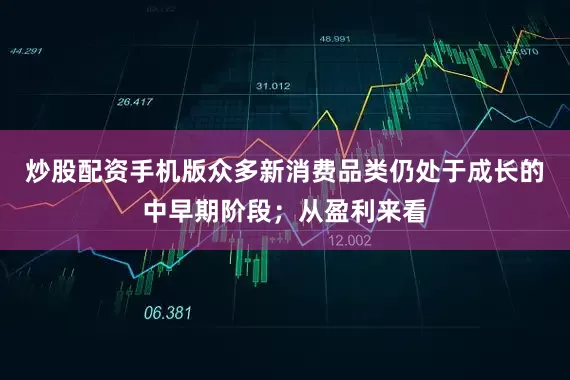 炒股配资手机版众多新消费品类仍处于成长的中早期阶段；从盈利来看