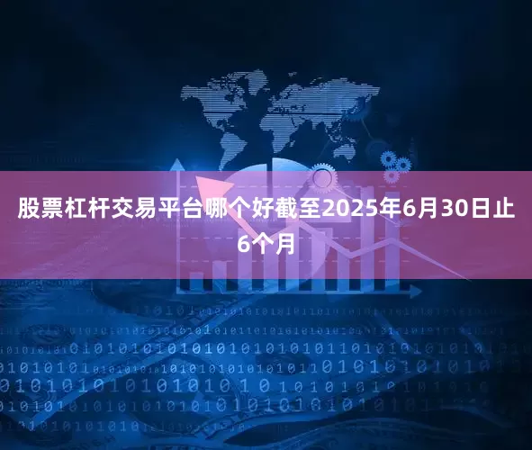 股票杠杆交易平台哪个好截至2025年6月30日止6个月