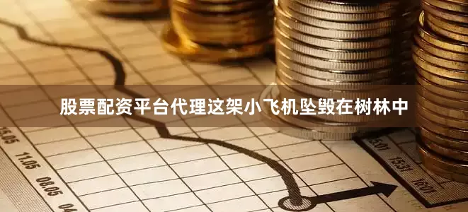 股票配资平台代理这架小飞机坠毁在树林中